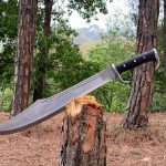 Foto: Mujer clava machete en el rostro a otra en Colombia /Cortesía