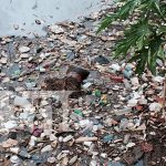 Hallazgo de un cadáver dentro de un cauce en el barrio 31 de Diciembre Foto: Hallazgo de un cadáver dentro del cauce en el barrio 31 de Diciembre/ TN8