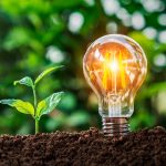 Foto: Empresa Argentina que produce maní genera energía renovable/Cortesía