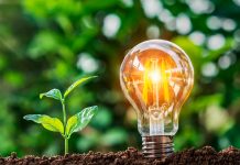 ¡Grandioso! Argentina utiliza el cultivo de maní para generar energía renovable Foto: Empresa Argentina que produce maní genera energía renovable/Cortesía