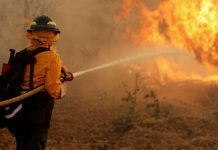 Siete incendios arrasan con provincias del oriente en Bolivia Foto: Bolivia en alerta /cortesía