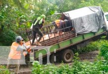 «Con las llantas para arriba», camión casi se vuelca en la Isla de Ometepe Foto: "Con las llantas, para arriba" camión casi se vuelca en la Isla de Ometepe/ TN8