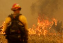 Miles de bomberos combaten el mayor incendio del año en California Foto: Miles de bomberos combaten el mayor incendio del año en California/Créditos