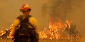 Foto: Miles de bomberos combaten el mayor incendio del año en California/Créditos