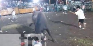 Foto: Toro "Trago Amargo" envía a joven al hospital con las vísceras de fuera en Nandaime/TN8