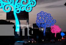 Encendido simultáneo de 50 «Árboles de la Vida» en Managua Foto: Encendido simultáneo de 50 "Árboles de la Vida" en Managua/ TN8