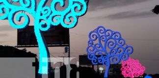Foto: Encendido simultáneo de 50 "Árboles de la Vida" en Managua/ TN8