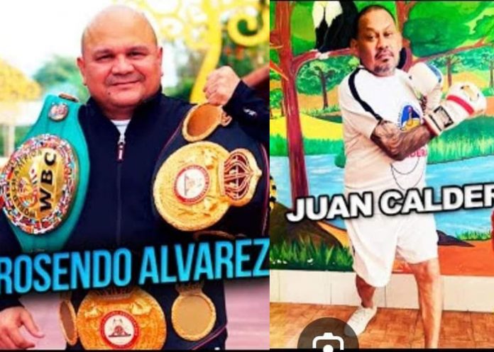 Foto: Rosendo Álvarez listo para repartir golpes de acero /Cortesía