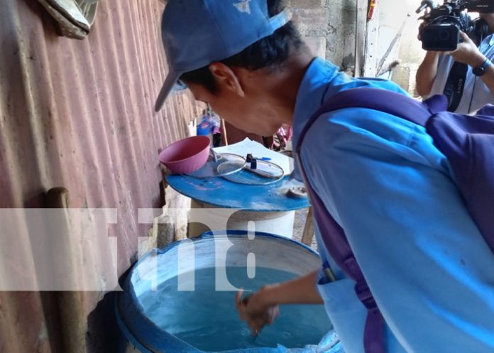 Foto: Visita de brigadistas del MINSA en el barrio Grenada, Managua / TN8 Foto: Visita de brigadistas del MINSA en el barrio Grenada, Managua / TN8