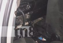 Trágica muerte en Estelí: En una curva perdió el control y chocó contra unos árboles Foto: Accidente mortal en Estelí / TN8