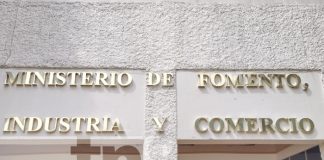 Foto: Reporte del MIFIC sobre la canasta básica en Nicaragua / TN8