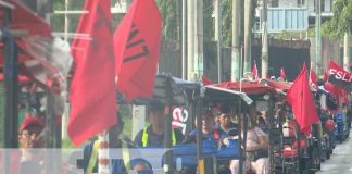 Foto: Caponeros celebran con todo el 45/19 en Managua / TN8