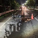 Carretera Nueva a León se tiñe de sangre en violento accidente Foto: Sangriento accidente de tránsito en la Carretera Nueva a León / TN8