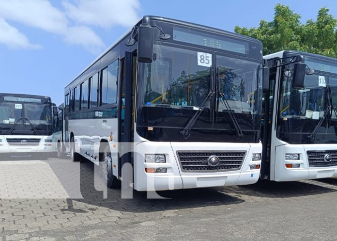 Foto: Nuevos buses para Managua / TN8 Foto: Nuevos buses para Managua / TN8