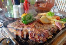 Una caricia al paladar es el Restaurante Barú en Granada Foto: Restaurante Barú, lugar para conocer en Granada / TN8