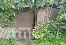 ¡Depravado! Hombre abusa de una ancianita en Jalapa Foto: Tras la pista de un sujeto que abusó sexualmente de una mujer de la tercera edad en Teotecacinte, Jalapa / TN8