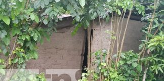 Foto: Tras la pista de un sujeto que abusó sexualmente de una mujer de la tercera edad en Teotecacinte, Jalapa / TN8