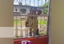 «Buenas, buenas»: El ladrón más «educado» de Matagalpa (VIDEO) Foto: Ladrón capturado haciendo de las suyas en Matagalpa / TN8