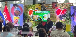 Foto: MEFCCA en reunión con cooperativas agrícolas de Nicaragua / TN8