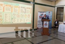 82.4%: Aprobación de la gestión del Gobierno Sandinista en Nicaragua Foto: Encuesta sobre gestión del Gobierno Sandinista en Nicaragua / TN8