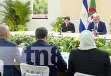 Nicaragua y Argelia, países hermanos en legados revolucionarios Foto: Fortalecimiento de relaciones entre Nicaragua y Argelia / TN8