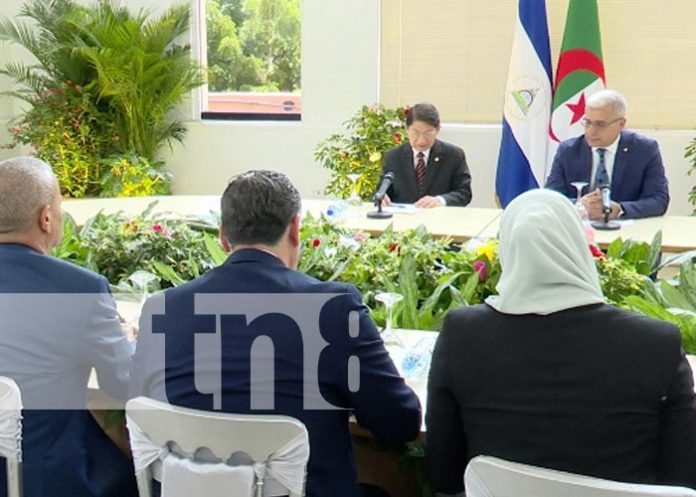 Foto: Fortalecimiento de relaciones entre Nicaragua y Argelia / TN8 Foto: Fortalecimiento de relaciones entre Nicaragua y Argelia / TN8