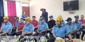 Foto: Capacitación a bomberos sobre rescate con caninos / TN8