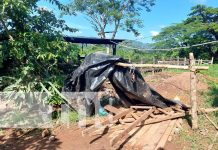 Exigen investigación por extrañas muertes en un pozo de Boaco Foto: Extrañas muertes de dos trabajadores en un pozo de Boaco / TN8