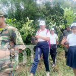 Foto: Reforestación en Chiltepe / TN8