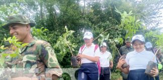 Foto: Reforestación en Chiltepe / TN8