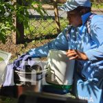 Foto: Eliminación de focos de zancudos en el Distrito III de Managua / TN8