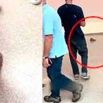 Joven coloca su tenis en un museo y los asistentes lo confunden con arte (VIDEO) Foto: Joven coloca su tenis en un rincón del museo/Cortesía