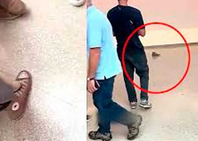 Foto: Joven coloca su tenis en un rincón del museo/Cortesía Foto: Joven coloca su tenis en un rincón del museo/Cortesía