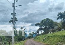 Río Blanco celebra un hito histórico con la electrificación de la cabecera de Paiwás Foto: Río Blanco celebra un hito histórico con la electrificación de la cabecera de Paiwás/TN8