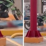 Pobladores le cortan las manos a un vagabundo por robar una pala (VIDEO) Foto: Pobladores cortan las manos a vagabundo /Cortesía