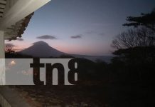 Descubre la historia precolombina de Ometepe en la Finca Magdalena Foto: Descubre la historia precolombina de Ometepe en la Finca Magdalena/TN8