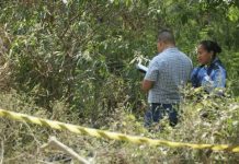 Terror en Honduras: Hallan a tres jóvenes asesinados en un predio baldío Foto: Terror en Honduras /cortesía