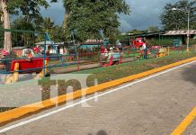 ¡La Libertad avanza! Alcaldía inaugura proyecto de calles adoquinadas Foto: ¡La Libertad avanza! Alcaldía inaugura proyecto de calles adoquinadas/TN8