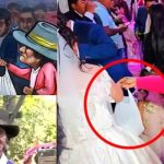 Novia rechaza el regalo de una humilde abuelita (VIDEO) Foto: El regalo de la abuelita /cortesía