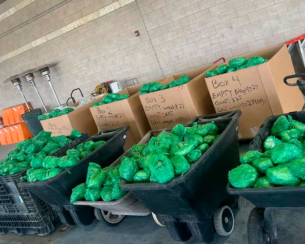 Foto: En Estados Unidos, detienen a cargamento de lechuga que contenía mil 500 kilos de metanfetamina/Cortesía Foto: En Estados Unidos, detienen a cargamento de lechuga que contenía mil 500 kilos de metanfetamina/Cortesía