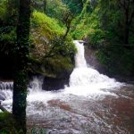 En Indonesia turista muere tras caer al vacío mientras se tomaba un selfie Foto: Turista italiano murió tras caer al vacío, mientras se tomaba un selfie con su novia en Indonesia/Cortesía