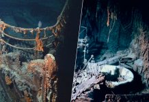 Colombia descubre nuevos objetos en la primera exploración del Galeón San José Foto: Colombia descubre nuevos objetos en la primera exploración del Galeón San José / Cortesía