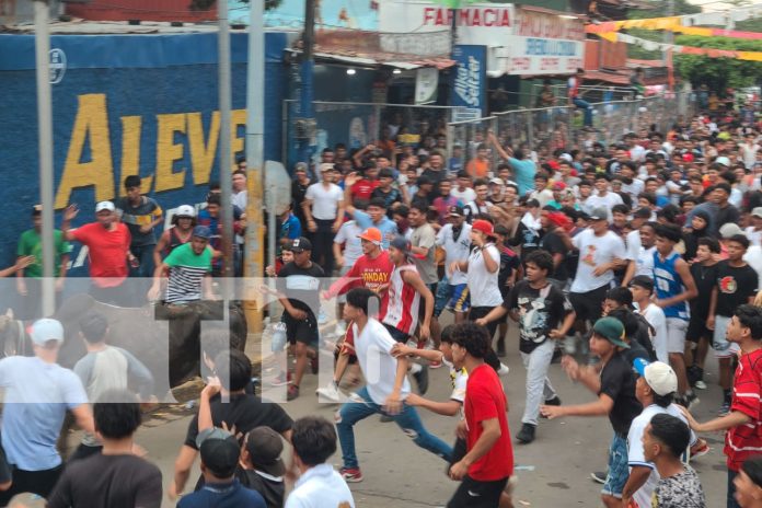 1 Foto: ¡Ahí viene el toro muco! Tradicional corrida de toros en el barrio San José Oriental/TN8