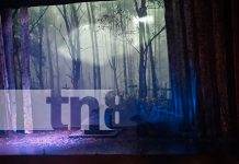 Foto: Temporada Lírica Incanto 2024 /TN8
