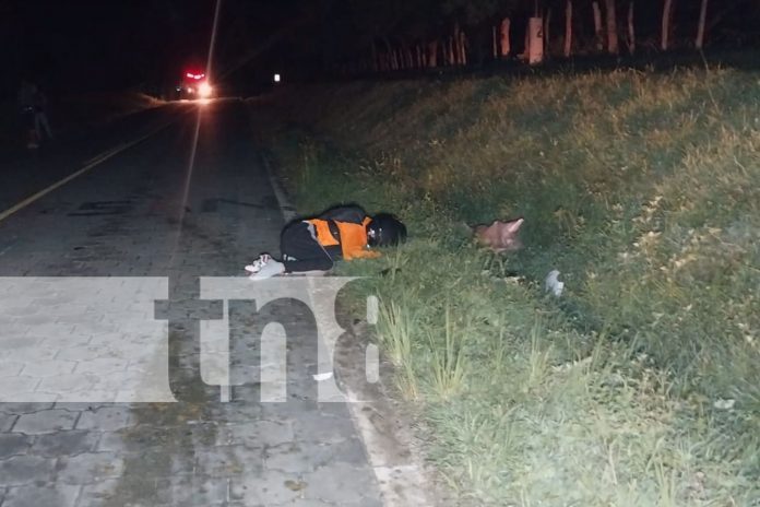 1 Foto: Exceso de velocidad y obstáculos en la vía: causas de accidentes en Nueva Segovia/ TN8
