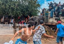 ¡Granada se desborda! Más de 45 mil personas en el espectacular tope de toros Foto: ¡Granada se desborda! Más de 45 mil personas en el espectacular tope de toros/TN8