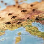 Nicaragua reporta menos contagios de Influenza y Malaria Foto: Nicaragua reporta menos contagios de Influencia y Malaria / Cortesía