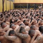 En El Salvador más de 2,000 miembros de MS-13 serán juzgados Foto: En El Salvador más de 2,000 miembros de MS-13 serán juzgados