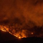 Bomberos internacionales se unen contra el incendio en Grecia Foto: Crisis de incendios en Grecia /cortesía