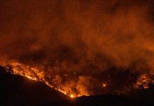 Foto: Crisis de incendios en Grecia /cortesía